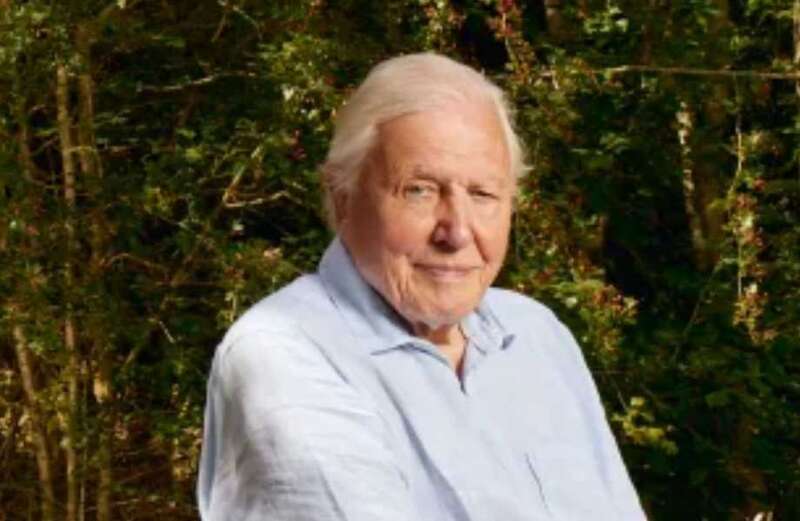 The groundbreaking series was considered to be some of Sir David Attenborough’s finest work for the BBC