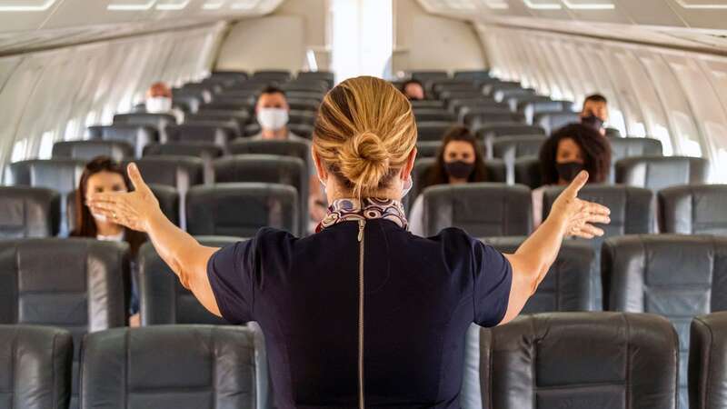 Almost 14% of flight attendants identify as LGB+ (Image: Getty Images)