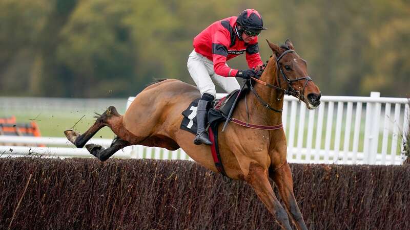 Ahoy Senor goes for the bet365 Charlie Hall Chase at Wetherby (Image: Getty)