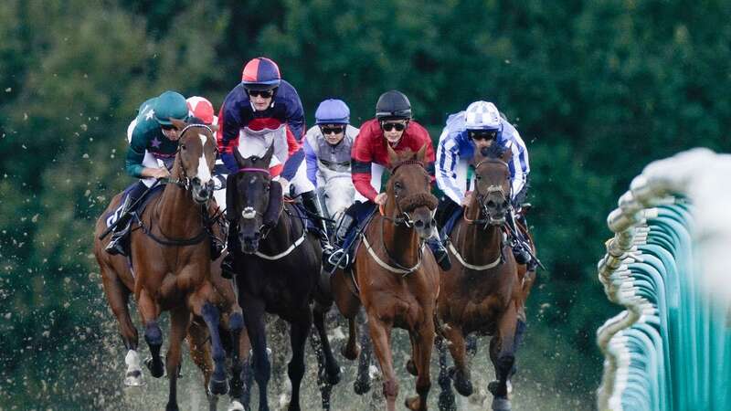 Lingfield hosts an eight-race card on Wednesday where Newsboy