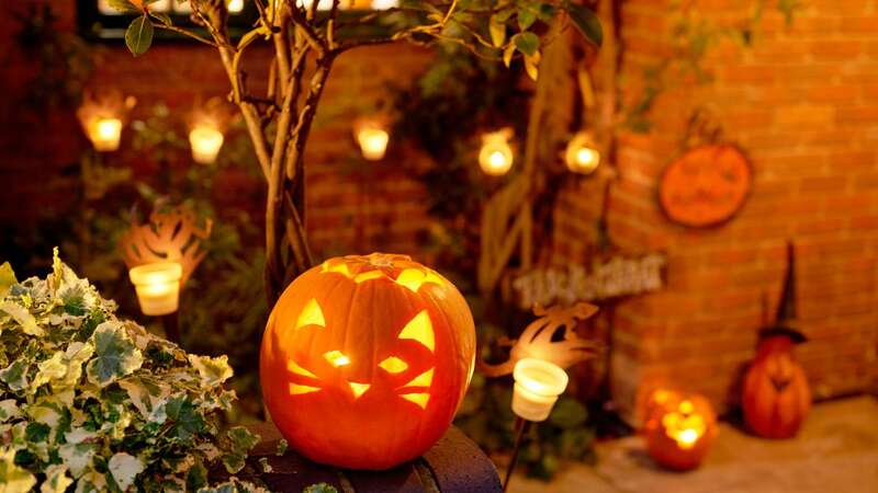 Pumpkins can be deadly for some wildlife. (Stock Photo) (Image: Getty Images)