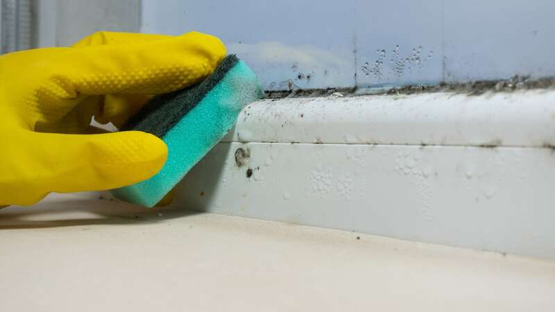 Condensation can wreak havoc if left unchecked. (Stock Photo) (Image: Getty Images/iStockphoto)