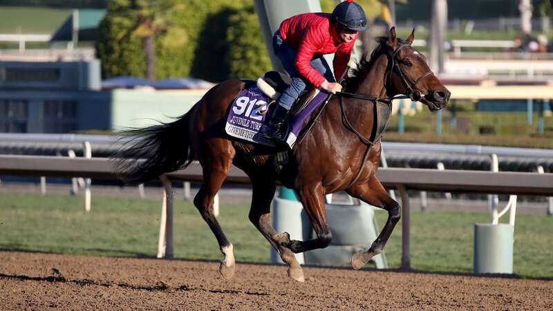 Givemethebeatboys training at Santa Anita this week (Image: Getty Images)