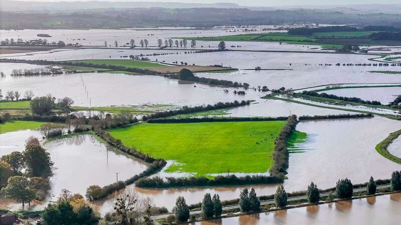 Somerset Levels on Saturday (Image: Graham Hunt/BNPS)