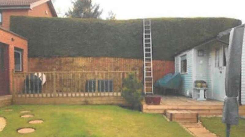 A group of residents trimmed a neighbour