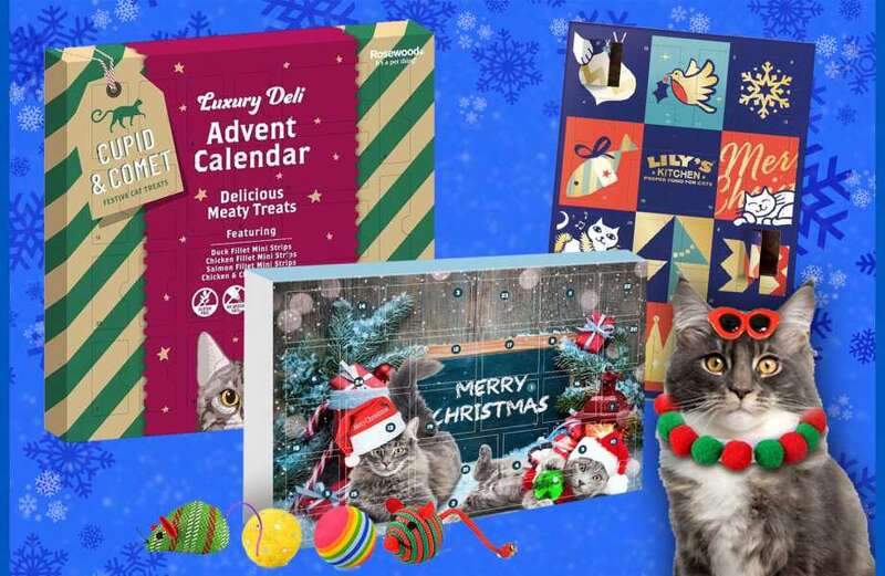 10 Best advent calendars for cats 2023 UK