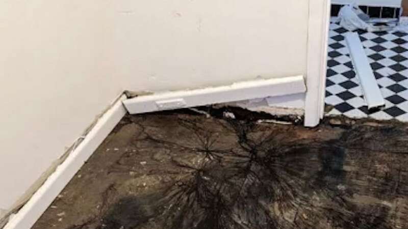 The woman was horrified when she lifted up her floorboards (Image: Facebook)