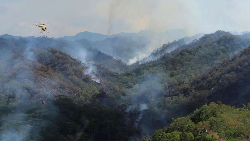 The area is home to more than 20 endangered or threatened species (Image: AP)