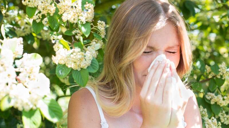 Experts fear superbug issue could rise (Image: Getty Images/Science Photo Library RF)