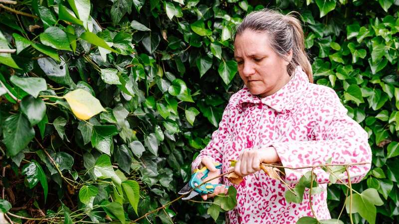 Starting jobs in November can help to keep your garden healthy (Image: Getty Images/Cavan Images RF)