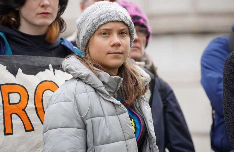 Activist led away by cops as she took part in demonstration at five-star hotel