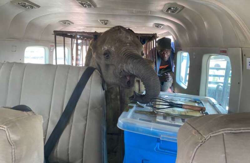 It was all hands-on deck to off-load the 350kg of precious cargo at Kaindu airstrip