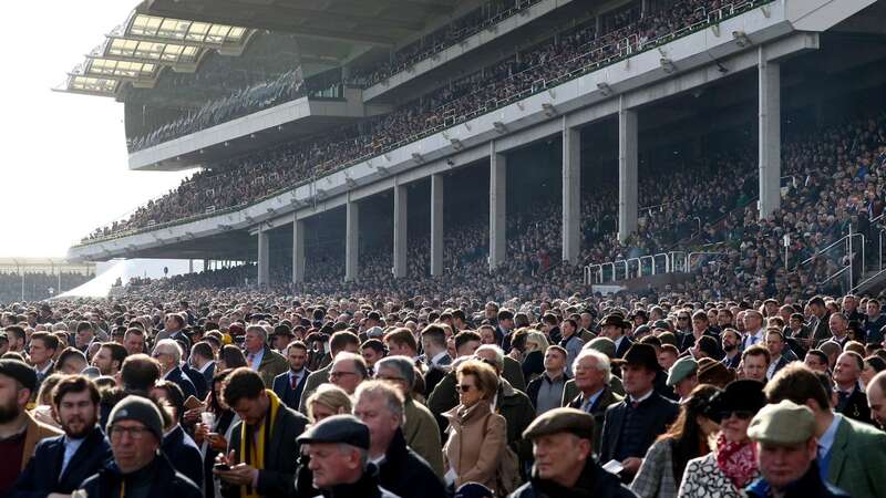 Chris Whitty admits Cheltenham Festival and Champions League match were mistake