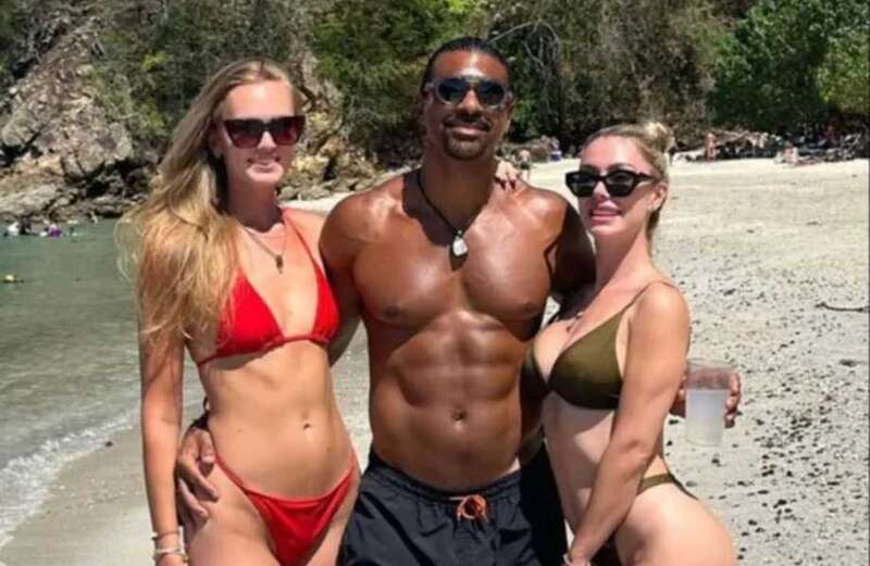 Boxer David is loving life in his new 