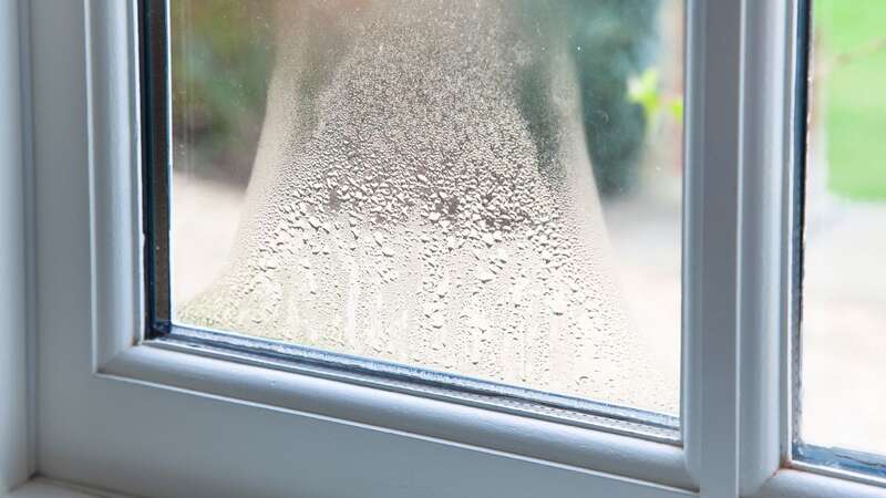 Condensation can lead to mould if left untreated (Image: Getty Images)