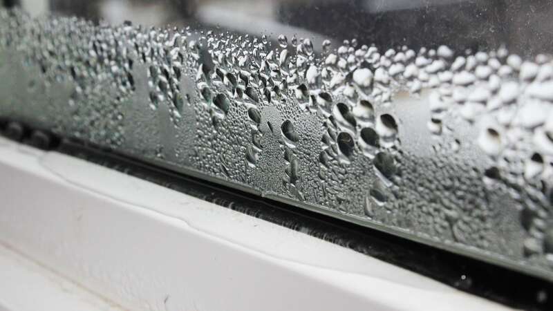 Condensation on bedroom windows is something many Brits encounter during the winter months (Image: Getty Images/iStockphoto)