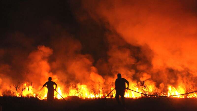 Indonesian police officers try to extinguish wildfire in Ogan Ilir, South Sumatera (Image: Anadolu Agency via Getty Images)