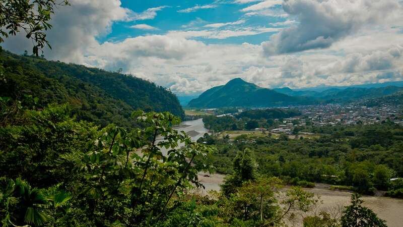 The pathogen was thought to have emerged from the Peruvian jungles (Image: Getty Images)