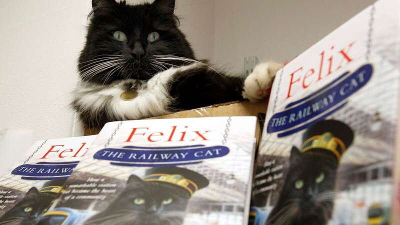 Felix the Huddersfield Station senior pest controller died on Sunday (Image: Huddersfield Examiner)