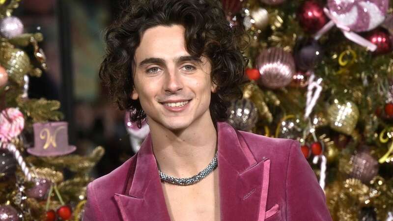 Wonka star Timothee Chalamet was nominated for an Oscar, a Golden Globe and a Bafta for romantic drama Call Me By Your Name (Image: Gareth Cattermole/Getty Images)