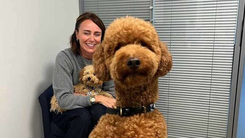 Keeley Hawes adopts a huge teddy bear dog with her famous husband