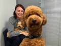 Keeley Hawes adopts a huge teddy bear dog with her famous husband