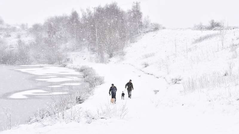 Specifically, sledgers, skiers, and snowball throwers have been advised to avoid consuming snow this winter (Image: Getty Images)