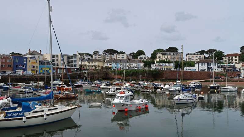 Quaint pretty picturesque harbour at coastal seaside resort town of Paignton (Image: GETTY)