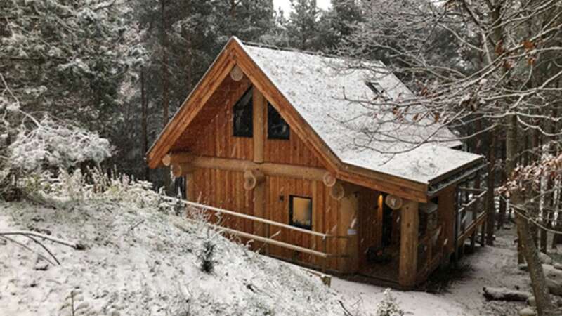 Pine Marten Lodge in Caingorms National Park