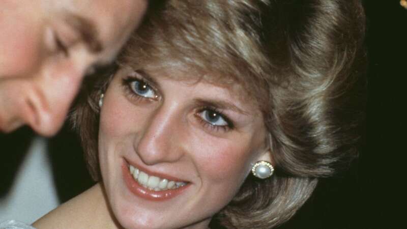 Diana was reportedly "very bitter" and felt like she was being made the joke (Image: Getty Images)