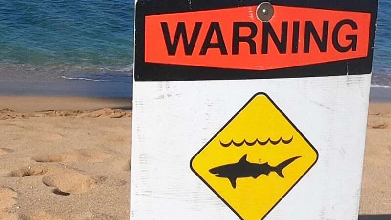 Shark warning signs were placed on beaches one mile on either side of the bay (Image: countyofmaui/Instagram)