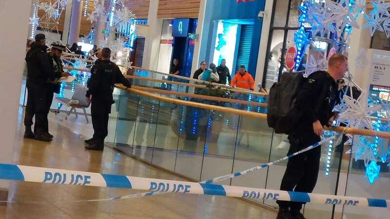 Two teenagers were stabbed during the incident at Meadowhall Shopping Centre in Sheffield (Image: Facebook)