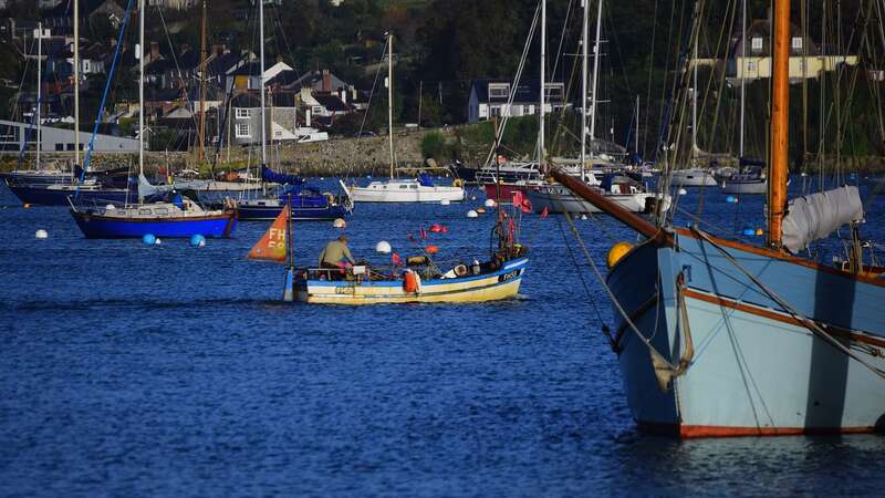 Looe Island on a very low tide, one of the Cornwall towns that some reviewers had a few opinions about (Image: Lisa MacLeod)