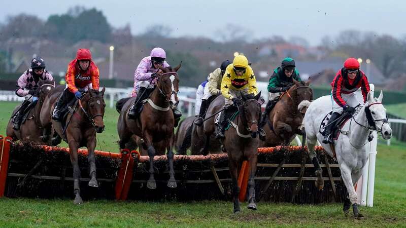 Plumpton hosts a seven-race card where Newsboy