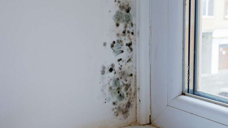 The experts warn a money-saving heating hack can be increasing the risk of mould (Image: Getty Images/iStockphoto)