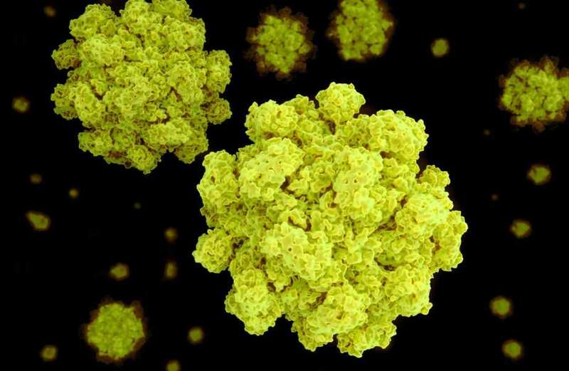 What is norovirus and how long does sickness bug last?