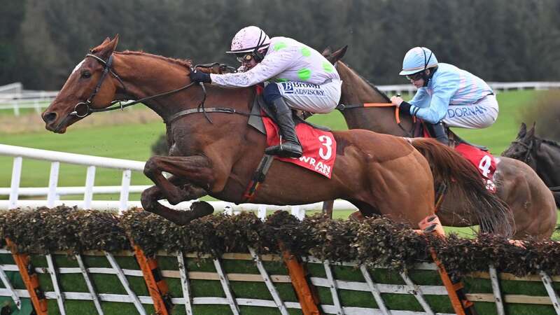 Monkfish: won the Galmoy Hurdle at Gowran Park (Image: RACINGFOTOS.COM)