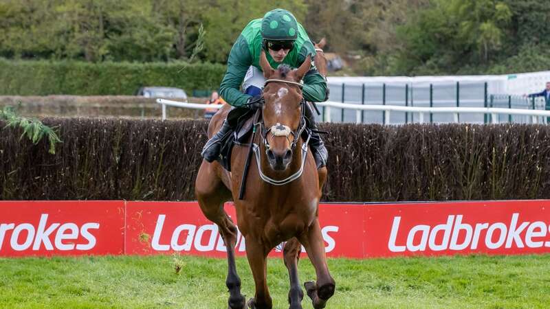 Punchestown Racing Festival (Image: ©INPHO/Morgan Treacy)