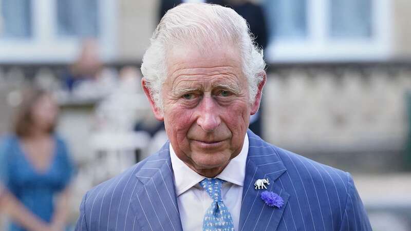 The Palace branded the sham biographies "intrusive" and "insensitive" (Image: Getty Images)