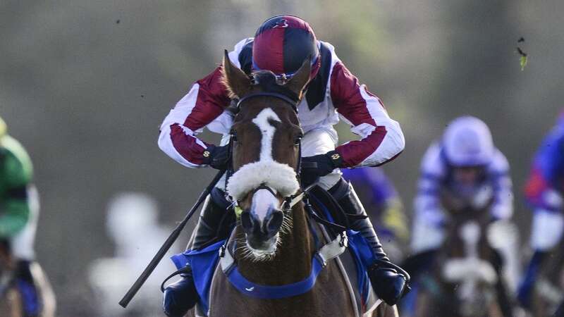 Absolute Steel causes a 200-1 shock at Exeter (Image: Phil Mingo/PPAUK/REX/Shutterstock)