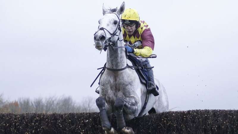 Ramses De Teillee: retired from racing at the age of 12 (Image: Getty Images)