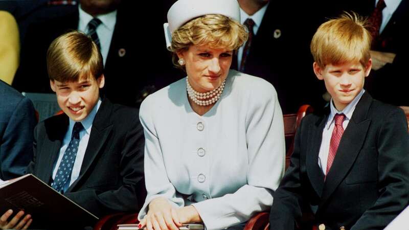 A new royal book has claimed even as kids there was a rivalry between the royal brothers (Image: Getty Images)