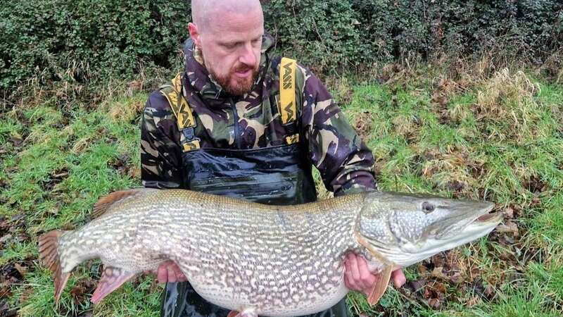 Lloyd Watson landed the huge pike at Chew Valley Lake (Image: Bristol Water)