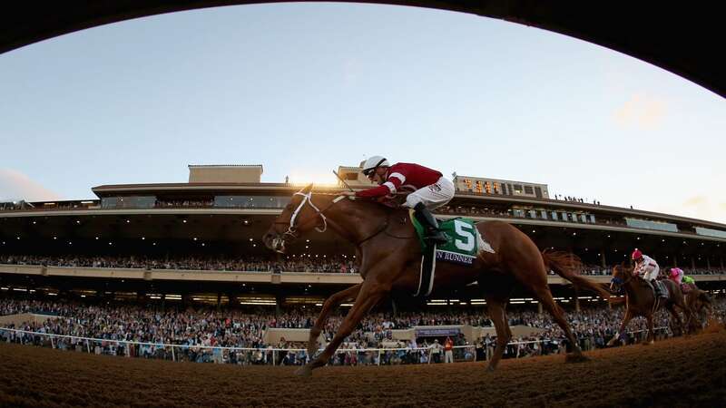 Echo Zulu won the Breeders’ Cup Juvenile Fillies and earned more than £2million in prize money (Image: Getty)