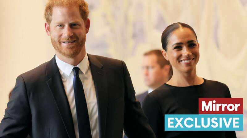 Prince Harry and Meghan Markle famously have a huge Netflix deal (Image: Getty Images)