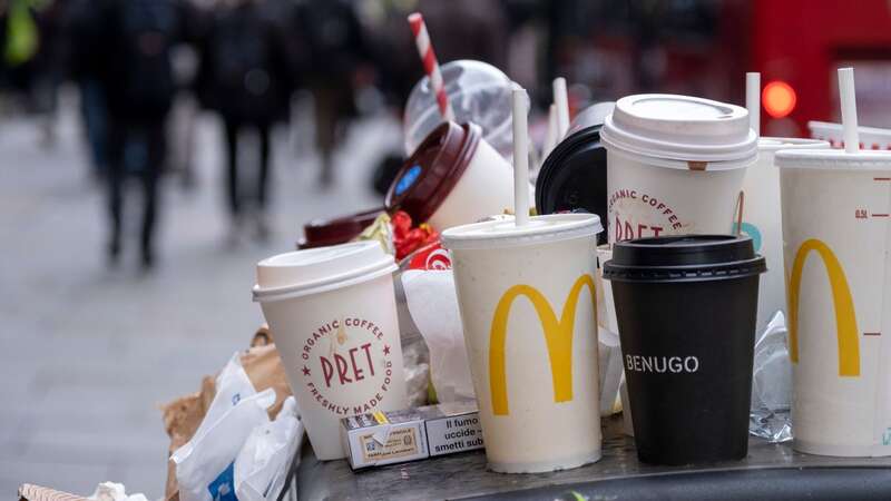 Around 56,354 fines were given out to local litterers in London (Image: Mike Kemp/In Pictures/Getty Images)