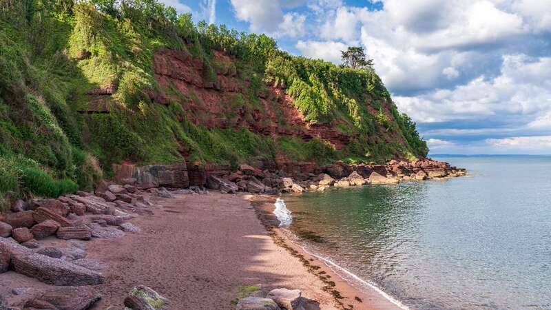 Maidencombe beach, Torquay (Image: Getty Images/iStockphoto)