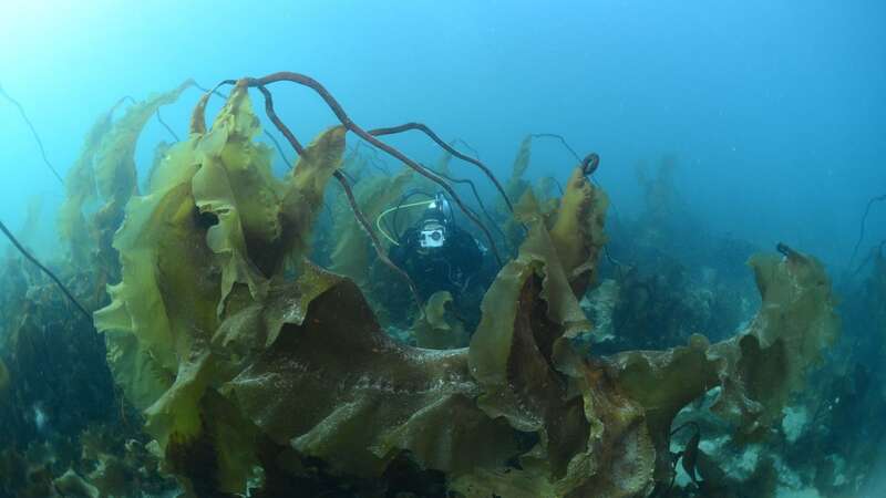 Scientists onboard a 10m-long research vessel sampling a meltwater runoff plume (Image: Karl Attard, University of Southern Denmark)