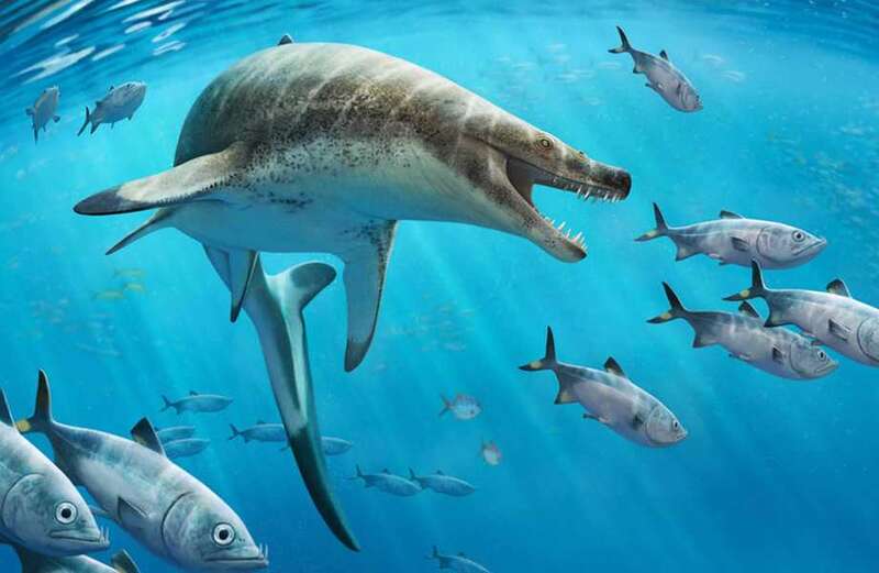 The ancient beast was about the size of a killer whale