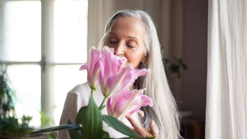 You can display your lilies with pride when you know this technique (Stock Image) (Image: Getty Images)